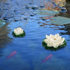Fiore loto artificiale - di,