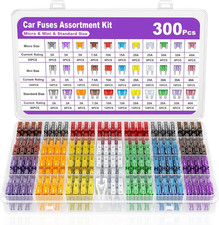 300 PCS Fusibili Auto