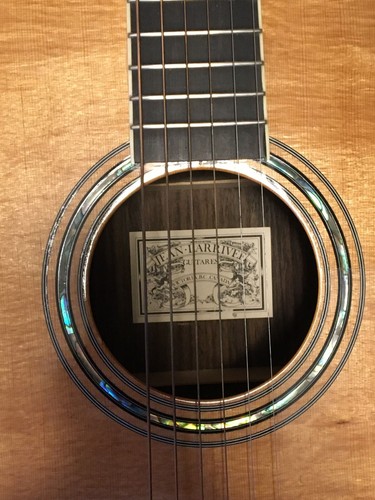 1996 larrivee bearclaw - 1996,
