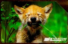 G 840 C&C 2910 SCHEDA TELEFONICA USATA ANIMALI PER MODO DI DIRE LUPO