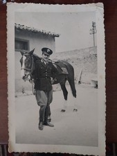 Carabiniere Foto Originale con Cavallo, Anni '50, Formato Cartolina 10x15 Cm!!
