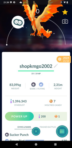 Pokémon shiny galarian - pokémon,
