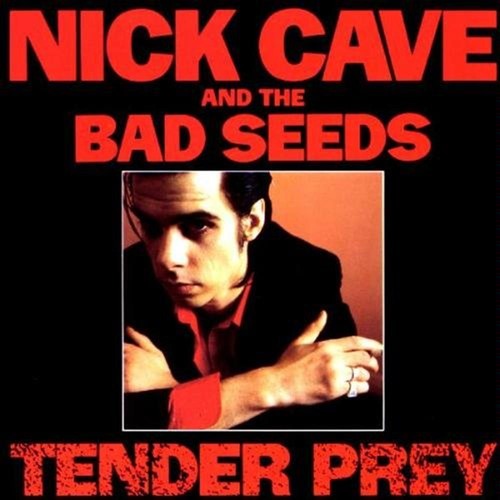 Tender prey 180gr nick - -,