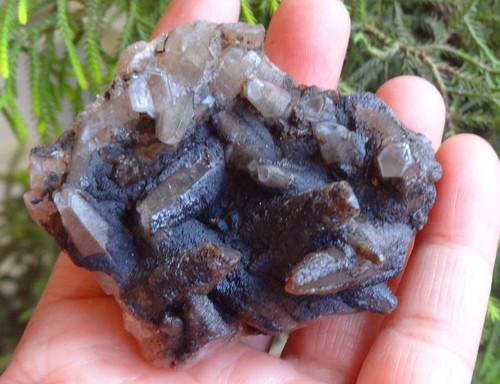 Campione minerale di - di,