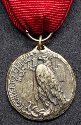 Medaglia del reggimento - medaglia,