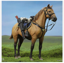 DID E60076 Scala 1/6 Marrone