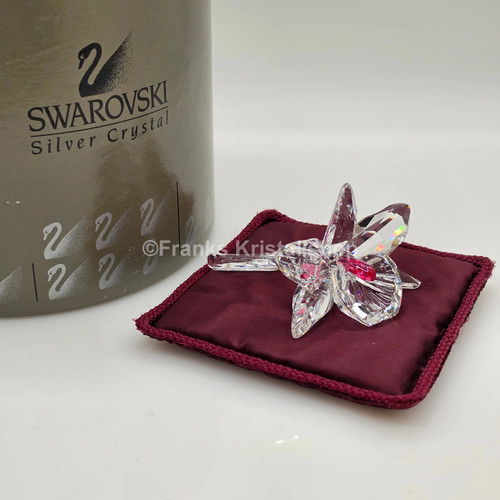 Swarovski orchidea rosa - swarovski,