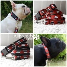 Set collare e piombo cane a