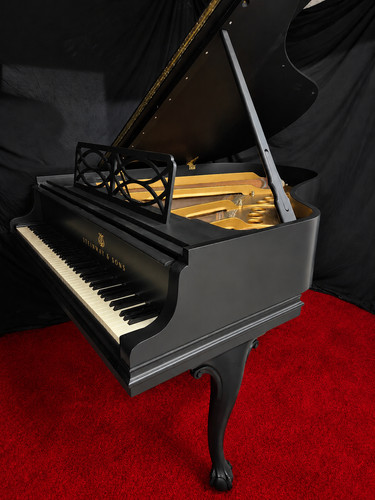 Steinway model art case - art,