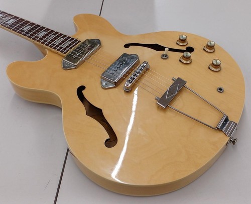 Chitarra elettrica acustica