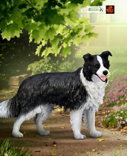 Border Collie Dog with Ball