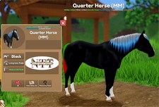 Wild Horse Islands - QUARTO