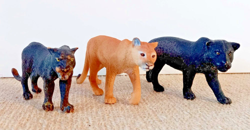 Schleich wild cat bundle - wild,