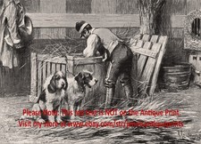 Cane Gran Grifone Vendéen, maestro di segugio prepara esposizione canina, stampa antica anni 1890