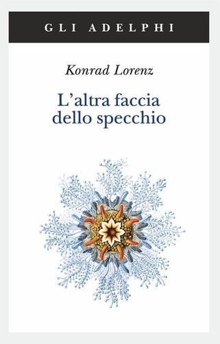 Altra faccia dello specchio - l'altra,