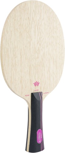 Racchetta ping pong con - ping,