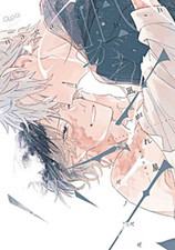 Stella Cadente - Nagareboshi -