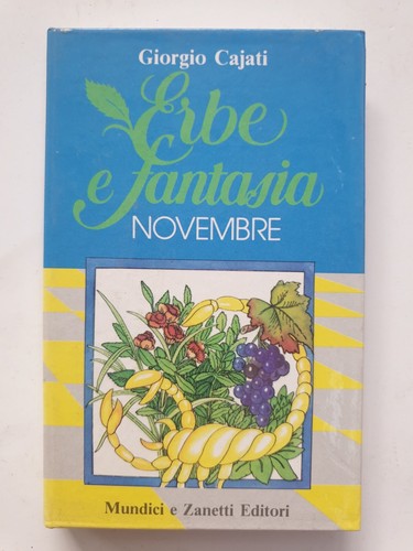 Erbe fantasia novembre - fantasia,