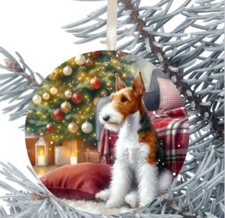 Fox Terrier a pelo filo da