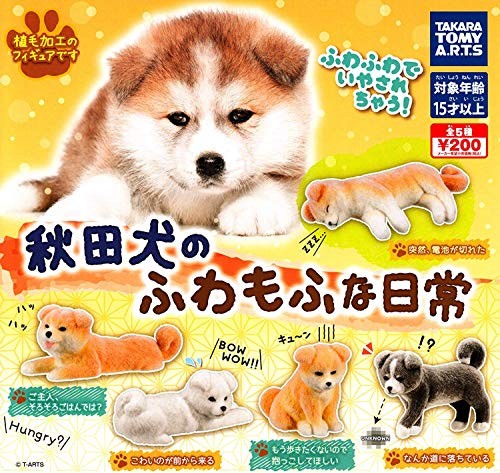 Capsule toys akita - akita, inu's