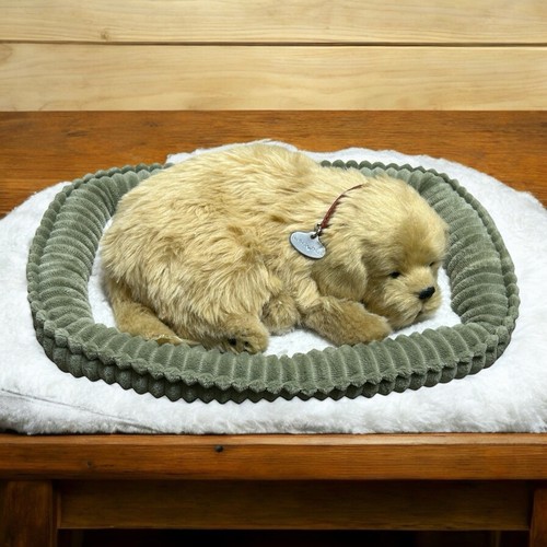 Peluche petzz perfetto golden - petzz,