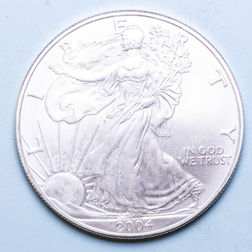 America dollaro 2004 - dollaro,