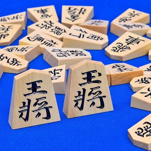 Pezzi shogi giapponesi - pezzi,