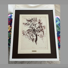 PIETRO ANNIGONI: STUDIO DI ALBERO CHINA SU CARTA 34X27 CON ARCHIVIO.