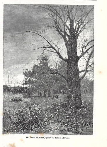 Antique print scope the - print,