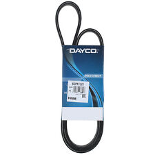 Cinghia Poly-V Dayco