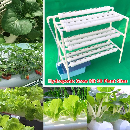 Piante livelli hydroponic - piante, 3