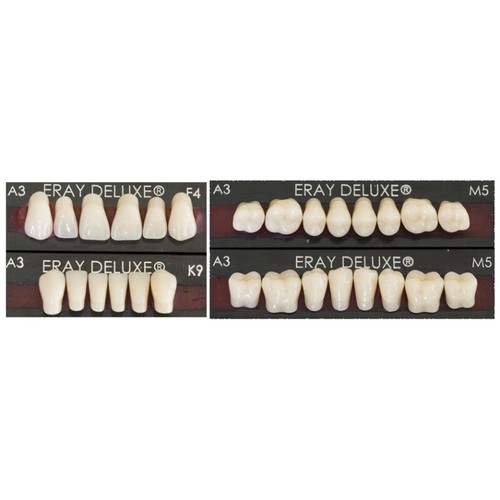 Denti per protesi strati - denti,