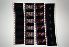 Spirited Away (2001) 35mm Film