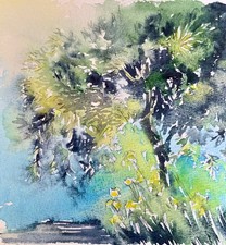 Quadro acquerello originale