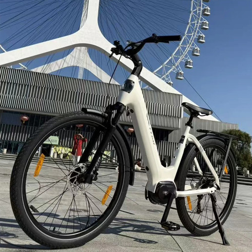 Bicicletta elettrica 250w ttgo - 250w,
