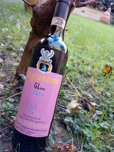 Sagrantino montefalco 5 - sagrantino,