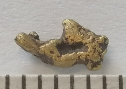 Pepita oro xxl mm - pepita,