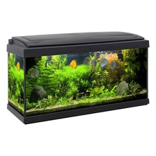 ACQUARIO MILO 80 T5 COMPLETO