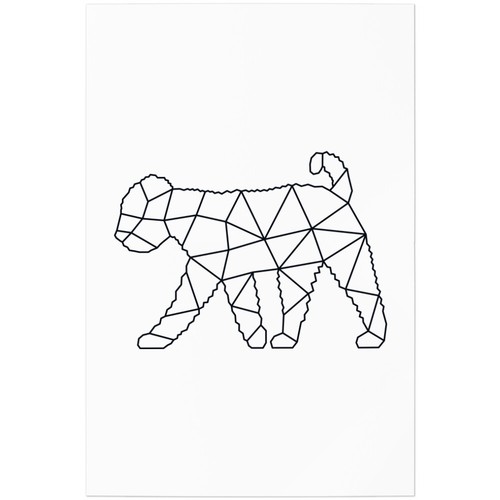 Lagotto romagnolo stile - lagotto,