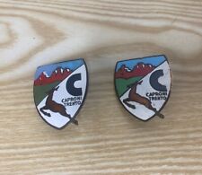 Capriolo Caproni Aeromere Fregi Originali 