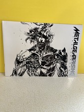 METAL GEAR RISING REVENGEANCE