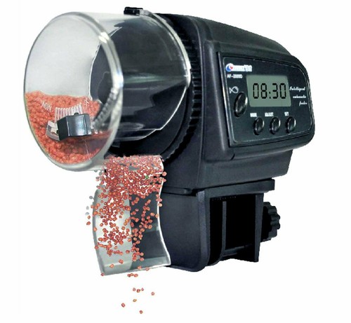 Mangiatoia automatica per