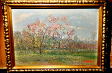 pittore -AMEDEO BOSCHETTI 1898-1978 ' BEL PAESAGGIO FIORITO' VIGONE-TO