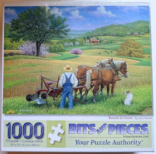 Room grow puzzle 1000 - room,
