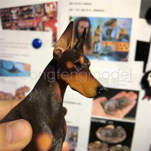 Modellino doberman pinscher - modellino,