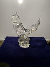 Meraviglie dell'Aquila di