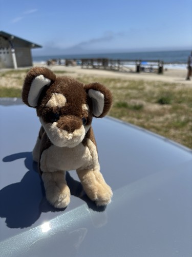 Peluche douglas cuddle - douglas,