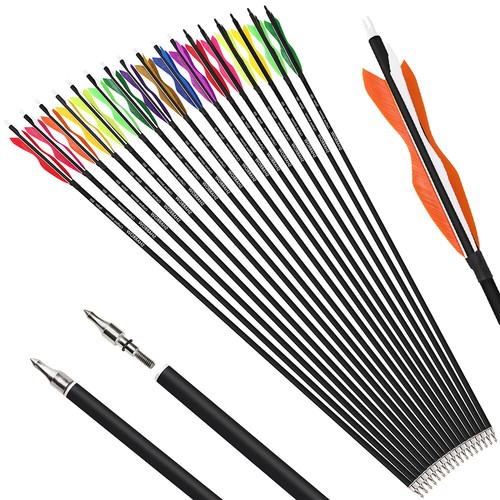 Frecce carbonio sp500 - in,