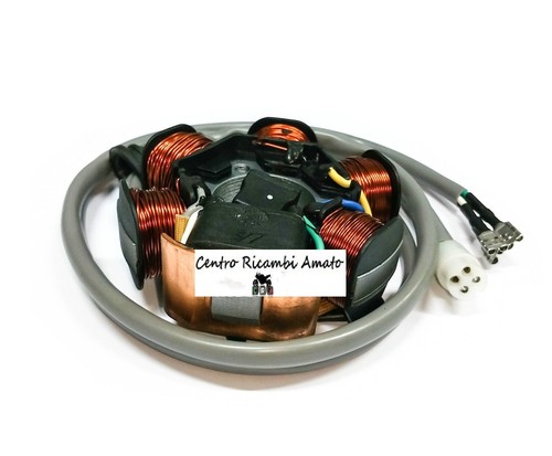 Statore magnete volano - statore,