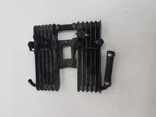 Radiatore olio aprilia rsv - olio,